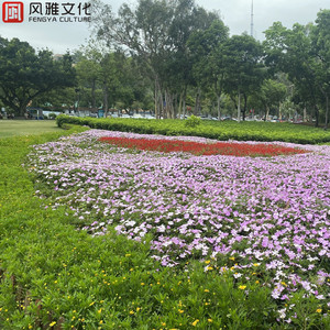 小苮儿有声小说在线阅读
